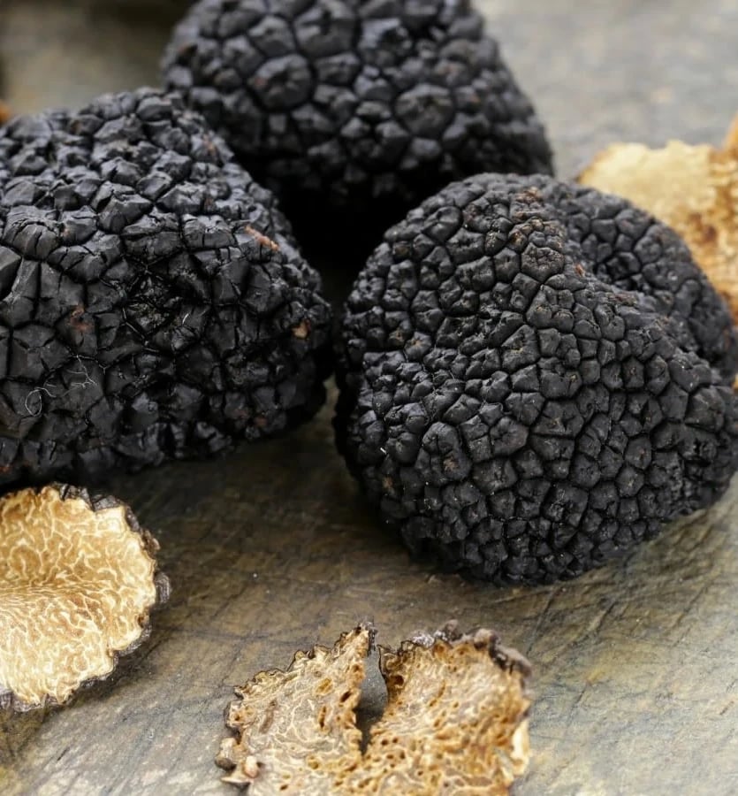 PRODUCTOS GOURMET - 2